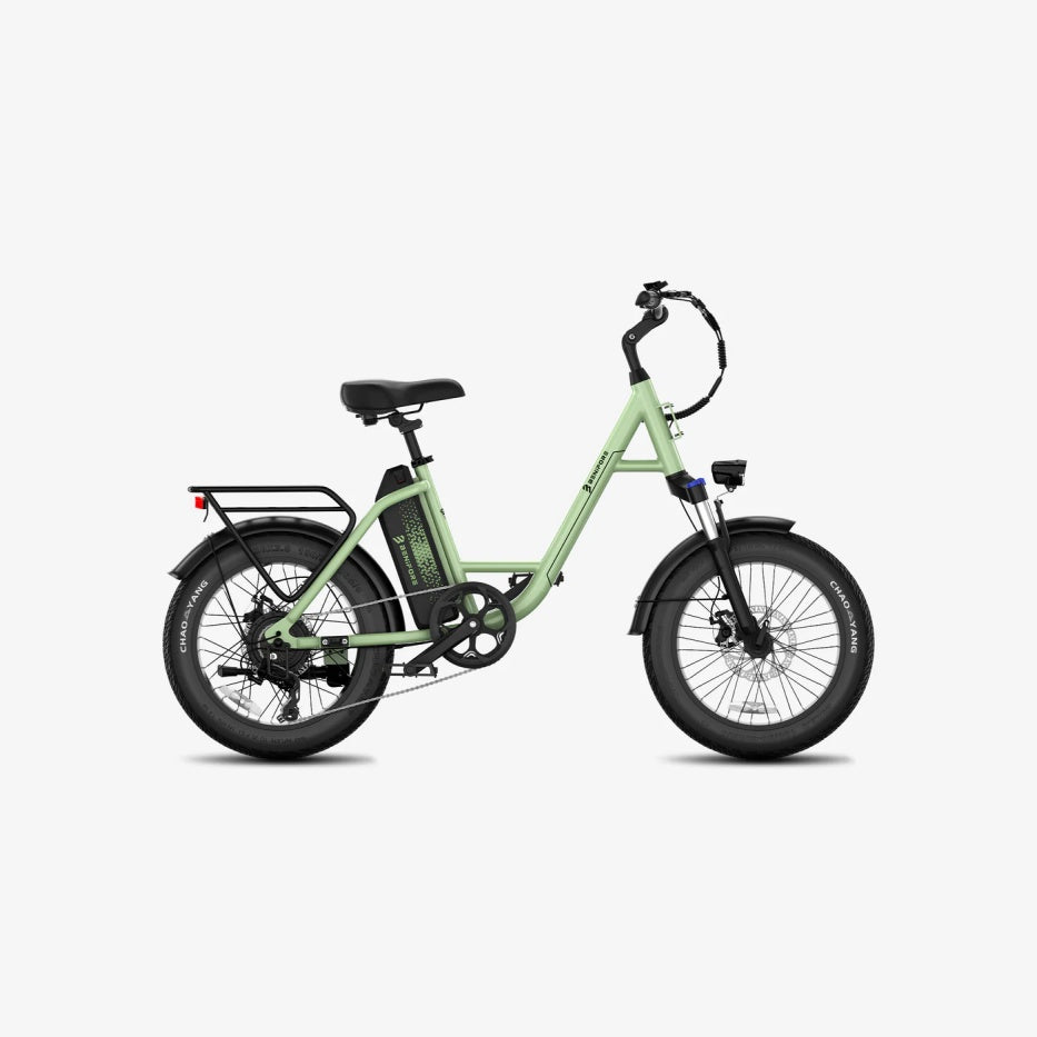 LUCKEEP C27 20" Step-Thru Cargo Electric Bike 750W(1200W Peak) Motor 48V 13Ah Battery