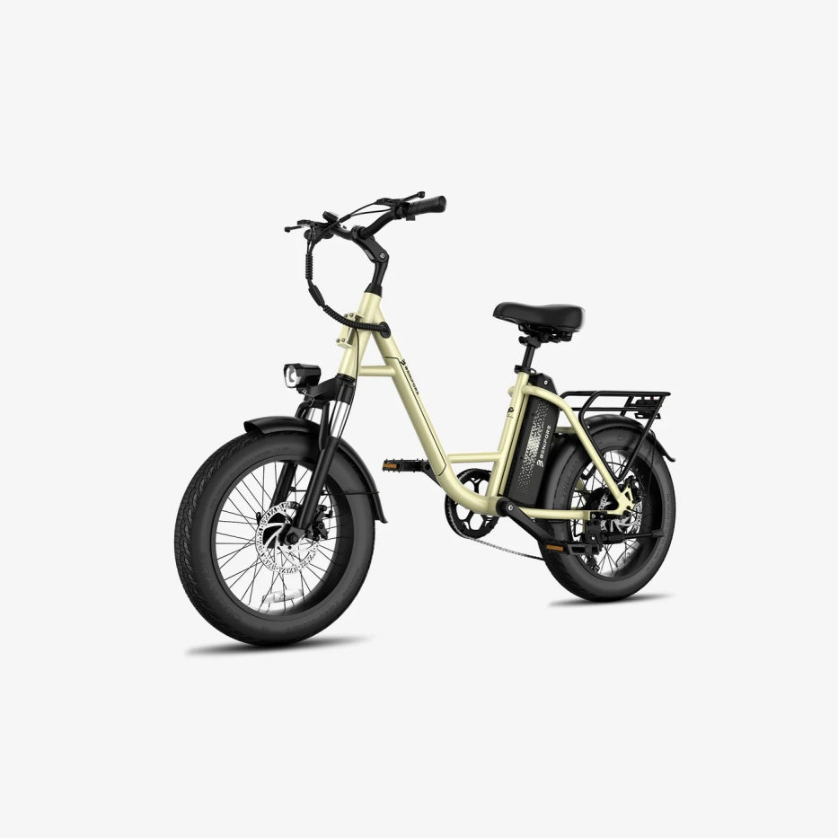 LUCKEEP C27 20" Step-Thru Cargo Electric Bike 750W(1200W Peak) Motor 48V 13Ah Battery