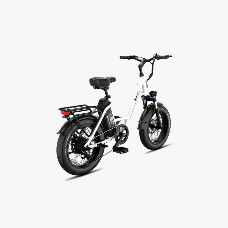 LUCKEEP C27 20" Step-Thru Cargo Electric Bike 750W(1200W Peak) Motor 48V 13Ah Battery