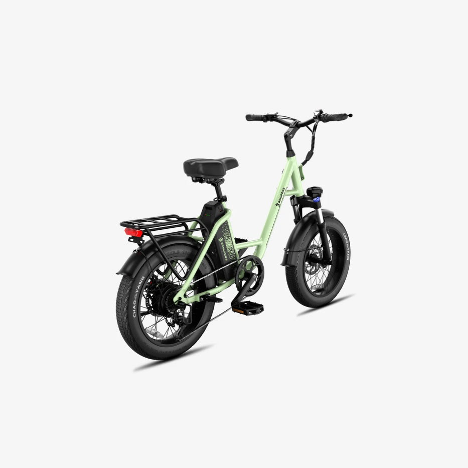 LUCKEEP C27 20" Step-Thru Cargo Electric Bike 750W(1200W Peak) Motor 48V 13Ah Battery