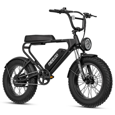 MEELOD DK200 20" Retro Moped Style Electric Bike 750W Motor 48V 13Ah BatteryㄗCA Version)