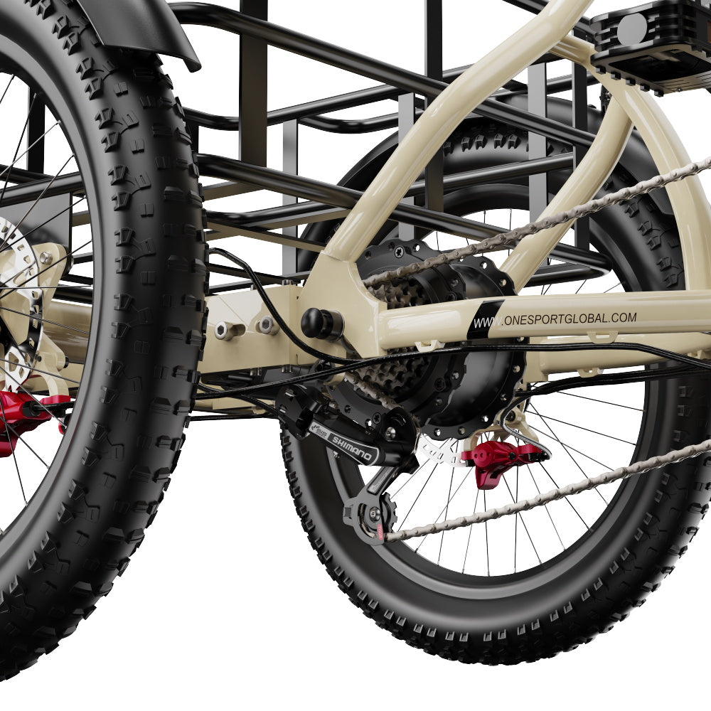 ONESPORT OT30 PRO  20" 3-Wheel Folding E-Trike 500W Motor 48V 18Ah Battery