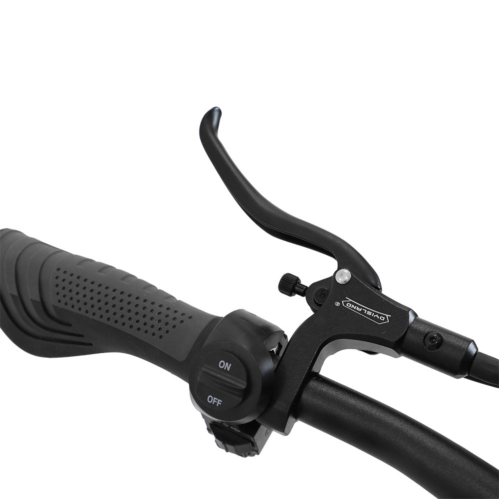 OOTD T30 13" All-Terrain 3-Wheel Scooter Electric Scooter 1600W*2 Dual Motor 60V 31.2Ah Battery