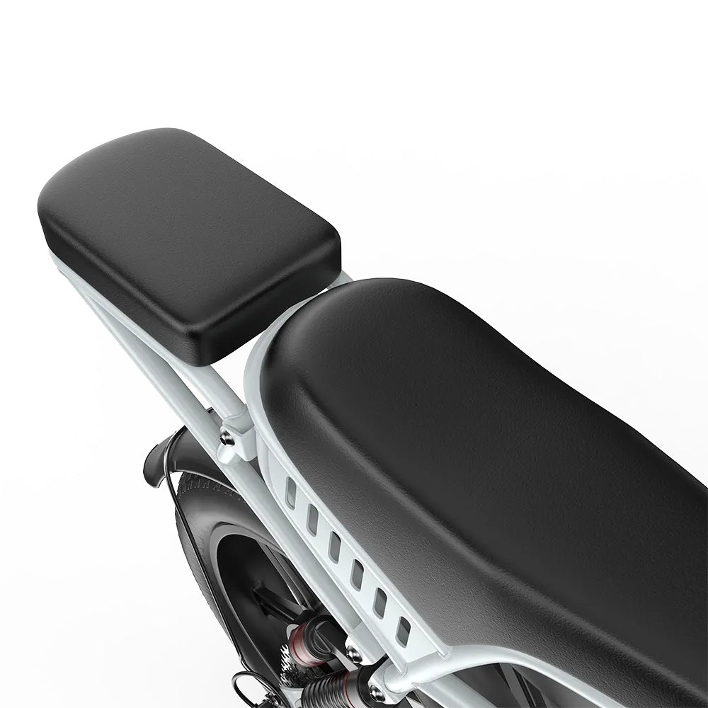 PIXAR M9 20" Retro Electric Bike 250W Motor 48V 35Ah Battery