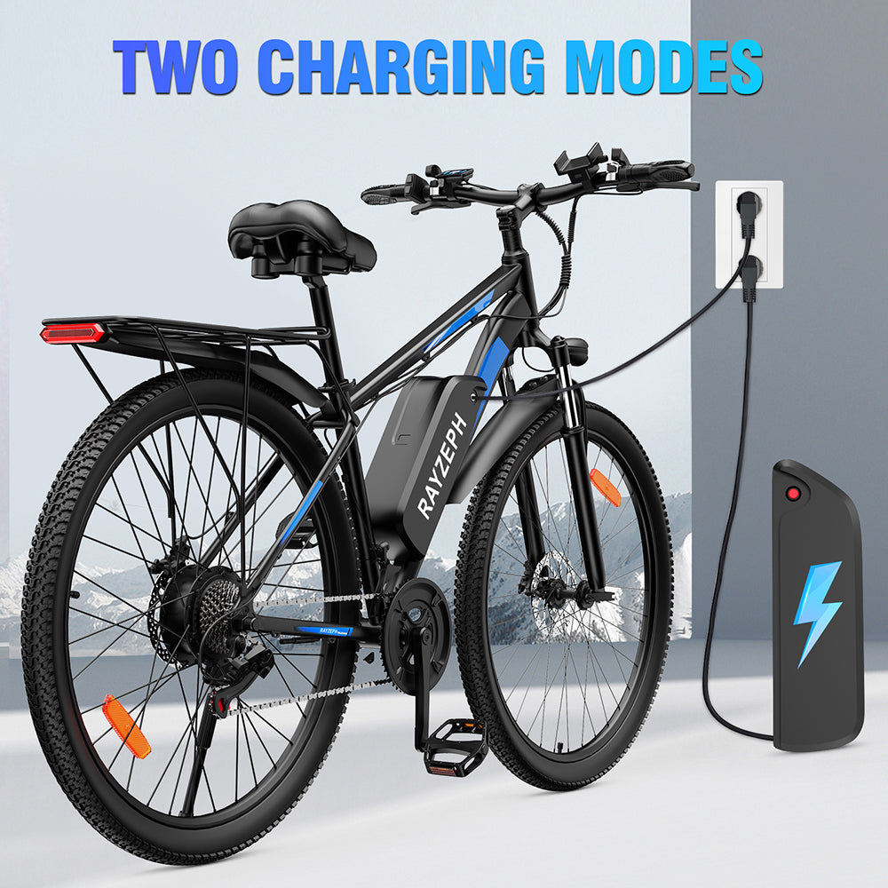 RAYZEPH S29 PRO 29" Mountain E-Bike 1000W Motor 48V 21Ah Battery