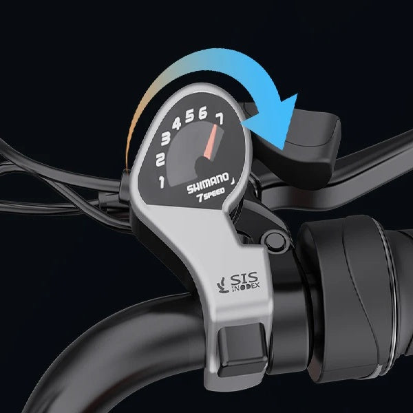 YVY CR20 20" Retro-Style Electric Bike for All Terrains 1000W Motor 48V 20Ah Battery