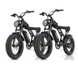 RIDSTAR_Q20_Lite_ebike_combo_sale gleeride