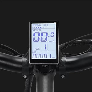 Ridstar Q20 gros pneus vélo électrique 1000W moteur 48V 20Ah batterie