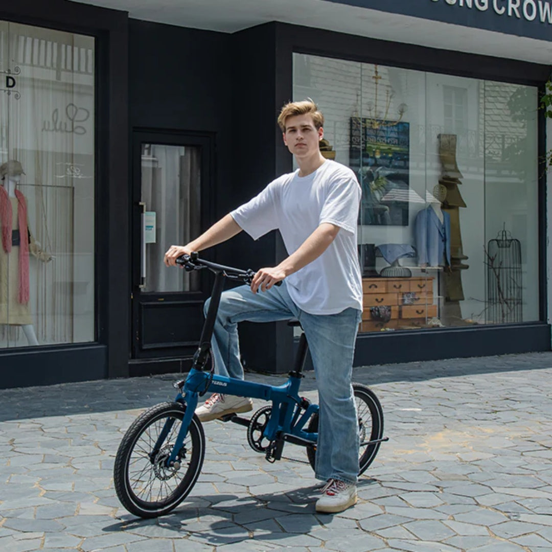 TEZEUS Swift 20" Folding Electric Bike 250W Motor 36V 7Ah Battery