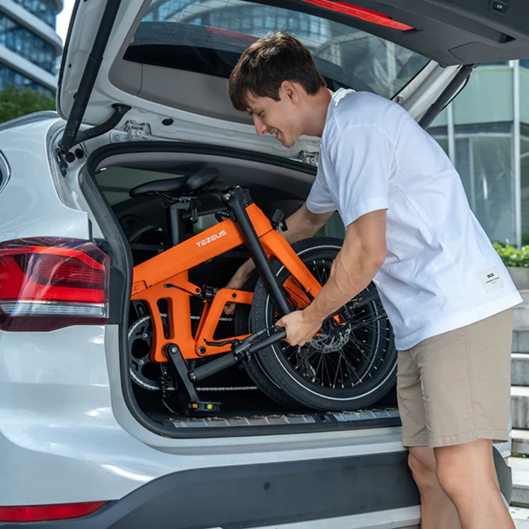 TEZEUS Swift 20" Folding Electric Bike 250W Motor 36V 7Ah Battery