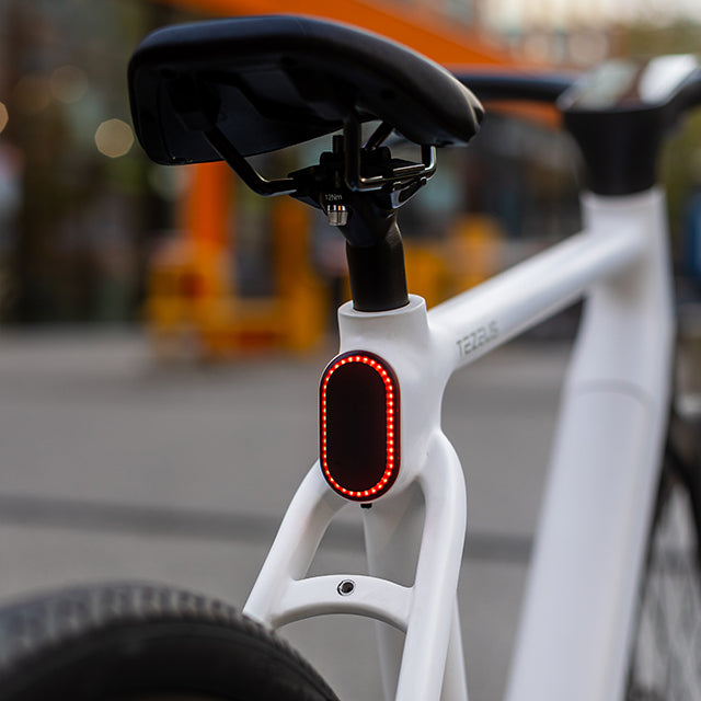 TEZEUS C8 38C" City E-Bike 250W Motor 36V 10Ah Battery