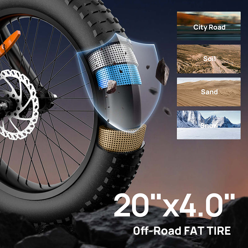 URLIFE T2 20" Off Road Electric Bike 745W Motor 48V 15.6Ah Battery (US Version)