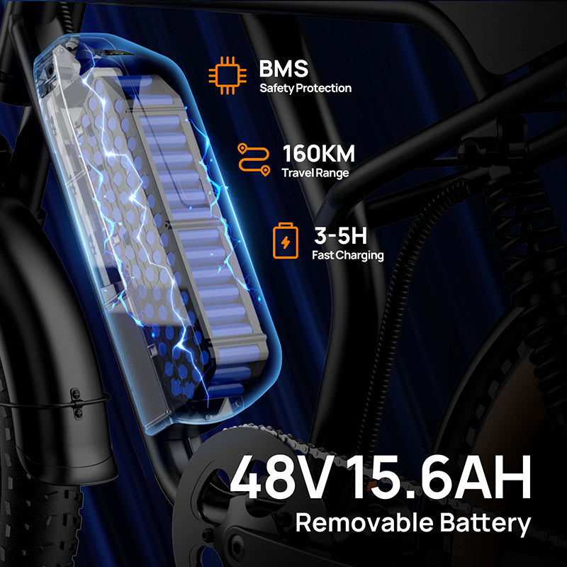 URLIFE T2 20" Off Road Electric Bike 250W Motor 48V 15.6Ah Battery (UK&EU Version)