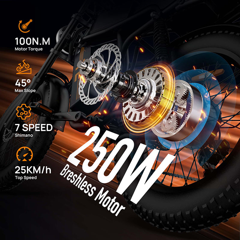 URLIFE T2 20" Off Road Electric Bike 250W Motor 48V 15.6Ah Battery (UK&EU Version)