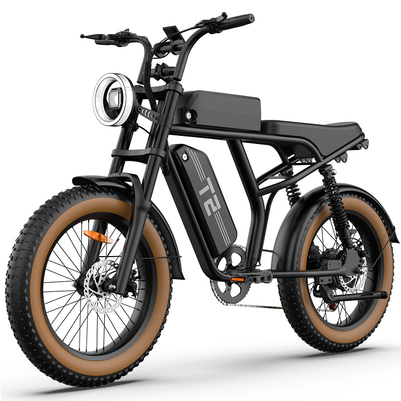 URLIFE T2 20" Off Road Electric Bike 745W Motor 48V 15.6Ah Battery (US Version)