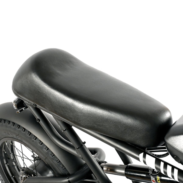 POLEEJIEK PLJ2008 20" Fat Tire Electric Bike 2000W Dual Motors 48V 20Ah Battery