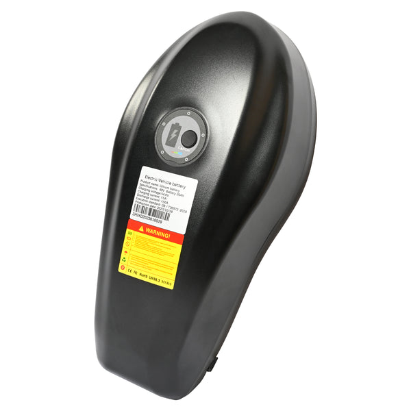 POLEEJIEK PLJ2008 20" Fat Tire Electric Bike 2000W Dual Motors 48V 20Ah Battery