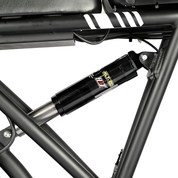 POLEEJIEK PLJ2008 20" Fat Tire Electric Bike 2000W Dual Motors 48V 20Ah Battery