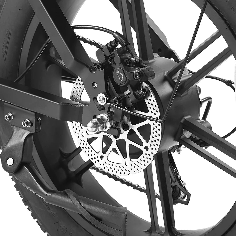 HAPPYRUN Tank G60C 20" Off Road Electric Bike 750W 48V 18Ah Battery