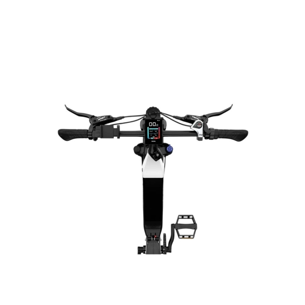 LUCKEEP X3 20" Cargo Electric Bike 750W(1400W Peak) Motor 48V 20Ah Battery