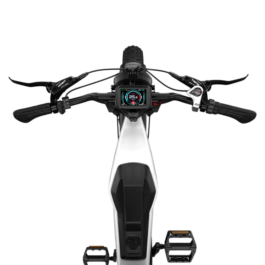 LUCKEEP M5 Ultra 20" Off Road Electric Bike 2*1000W Dual Motors 52V 40Ah Battery(US Version)