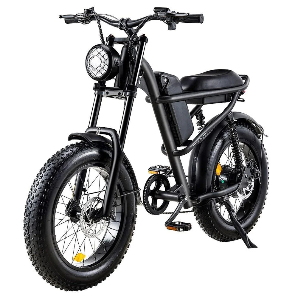 RIDING'TIMES 20" Fat Tires All-Terrain Electric Bike 500W Motor 48V 15Ah Battery