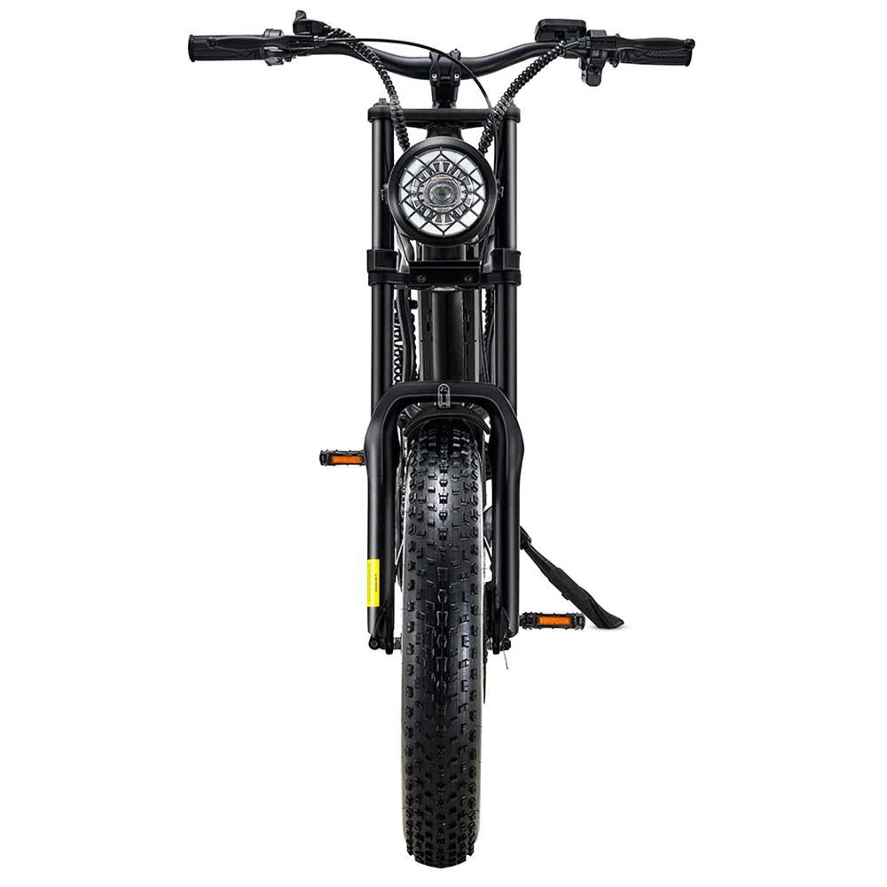 RIDING'TIMES 20" Fat Tires All-Terrain Electric Bike 500W Motor 48V 15Ah Battery