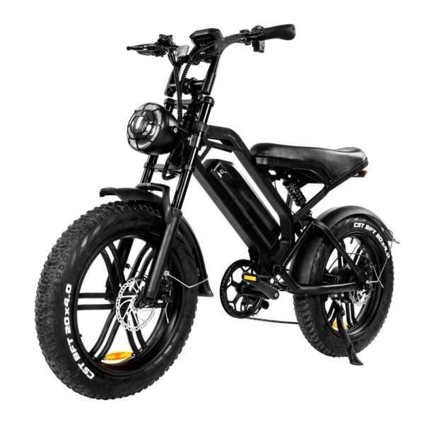 QMWHEEL V20 20" Off Road Electric Bike 750W Motor 48V 15.6Ah Battery