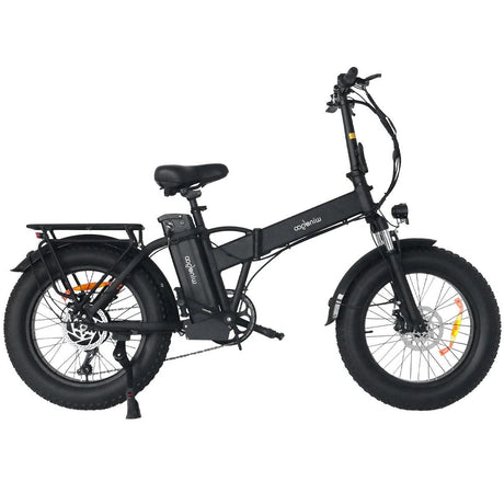 WINDGOO F21 PRO 20" Folding Electric Bike 250W Motor 48V 12.5Ah Battery