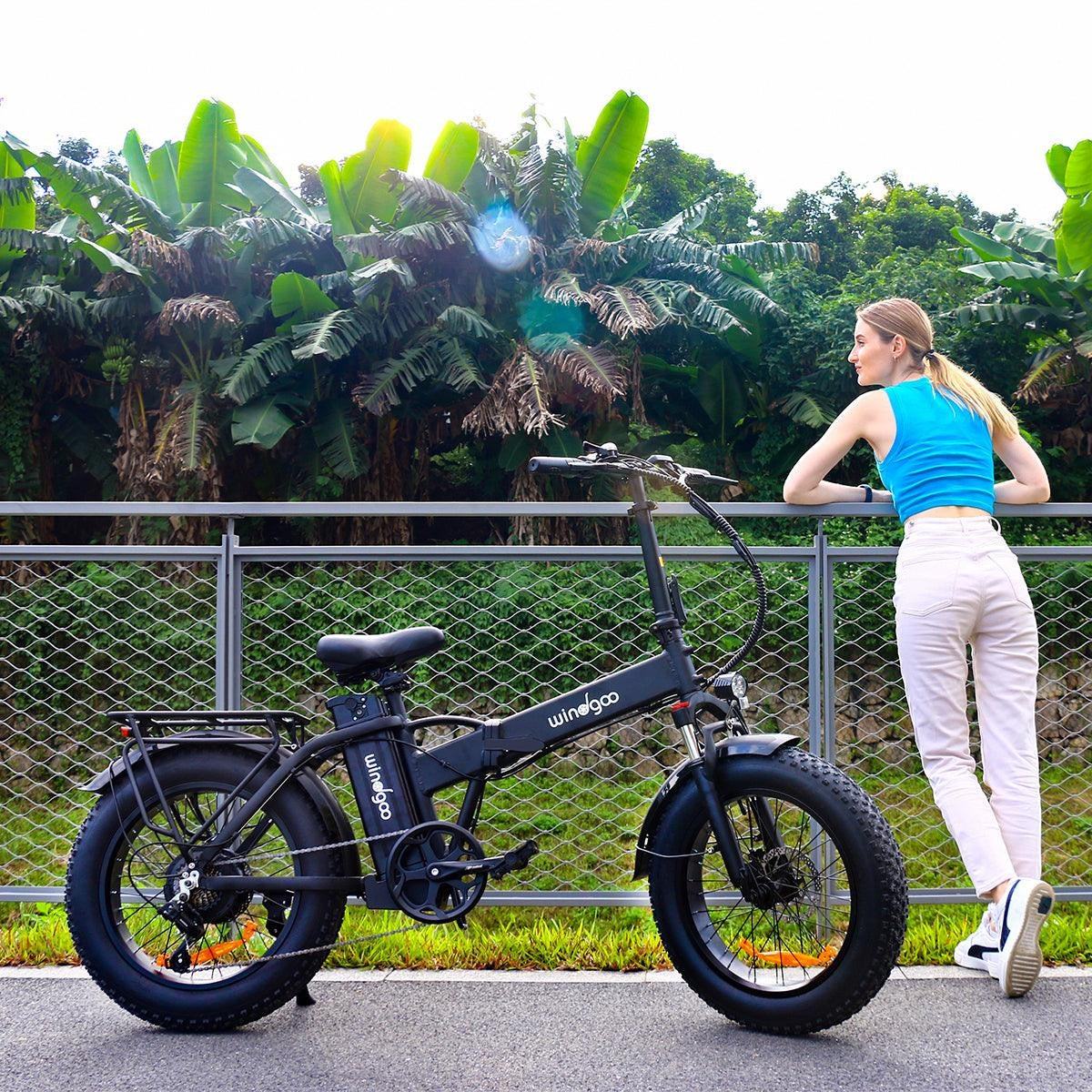 WINDGOO F21 PRO 20" Folding Electric Bike 250W Motor 48V 12.5Ah Battery