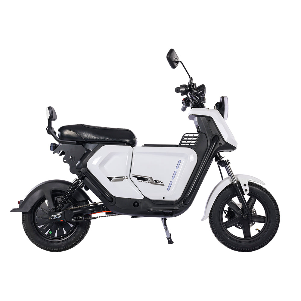 BEZIOR XIAONIU A 12" Off-Road Electric Bike 1500W Motor 48V 20Ah Battery