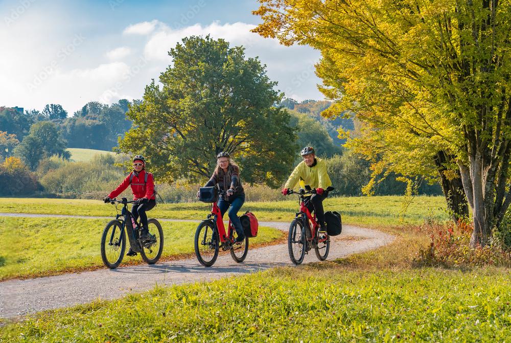 Choosing the Right Electric Bike for Your Dad