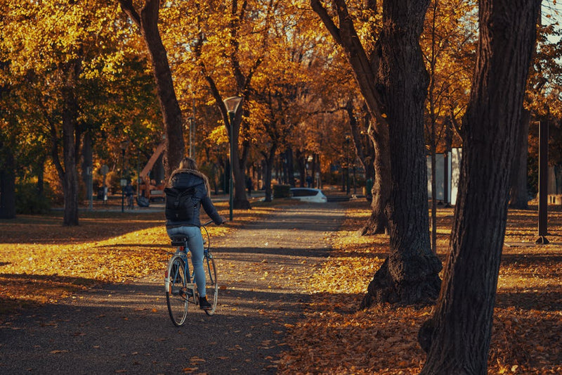 Electric Bike VS Regular Bike – Gleeride