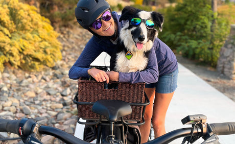 How to Safely Ride With Your Dog?