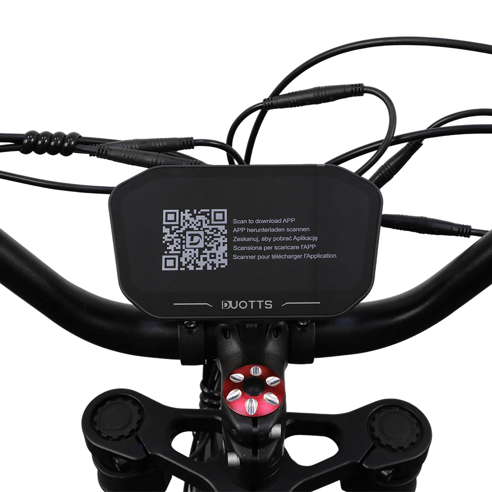 DUOTTS F20 20" Retro Electric Dirt Bike 750W Motor 52V 27Ah Battery