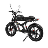 DUOTTS F20 20" Retro Electric Dirt Bike 750W Motor 52V 27Ah Battery
