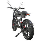 DUOTTS F20 20" Retro Electric Dirt Bike 750W Motor 52V 27Ah Battery