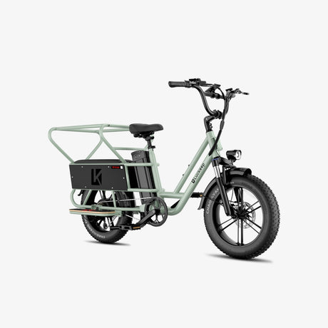 LUCKEEP X5 Lite 20" Cargo Electric Bike 750W(1400W Peak) Motor 48V 20Ah Battery