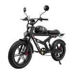 DUOTTS F20 20" Retro Electric Dirt Bike 750W Motor 52V 27Ah Battery