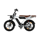 Velopro M9  20'' 250W Retro Dual-Battery Fat Tire E-Bike 48V 35Ah battery