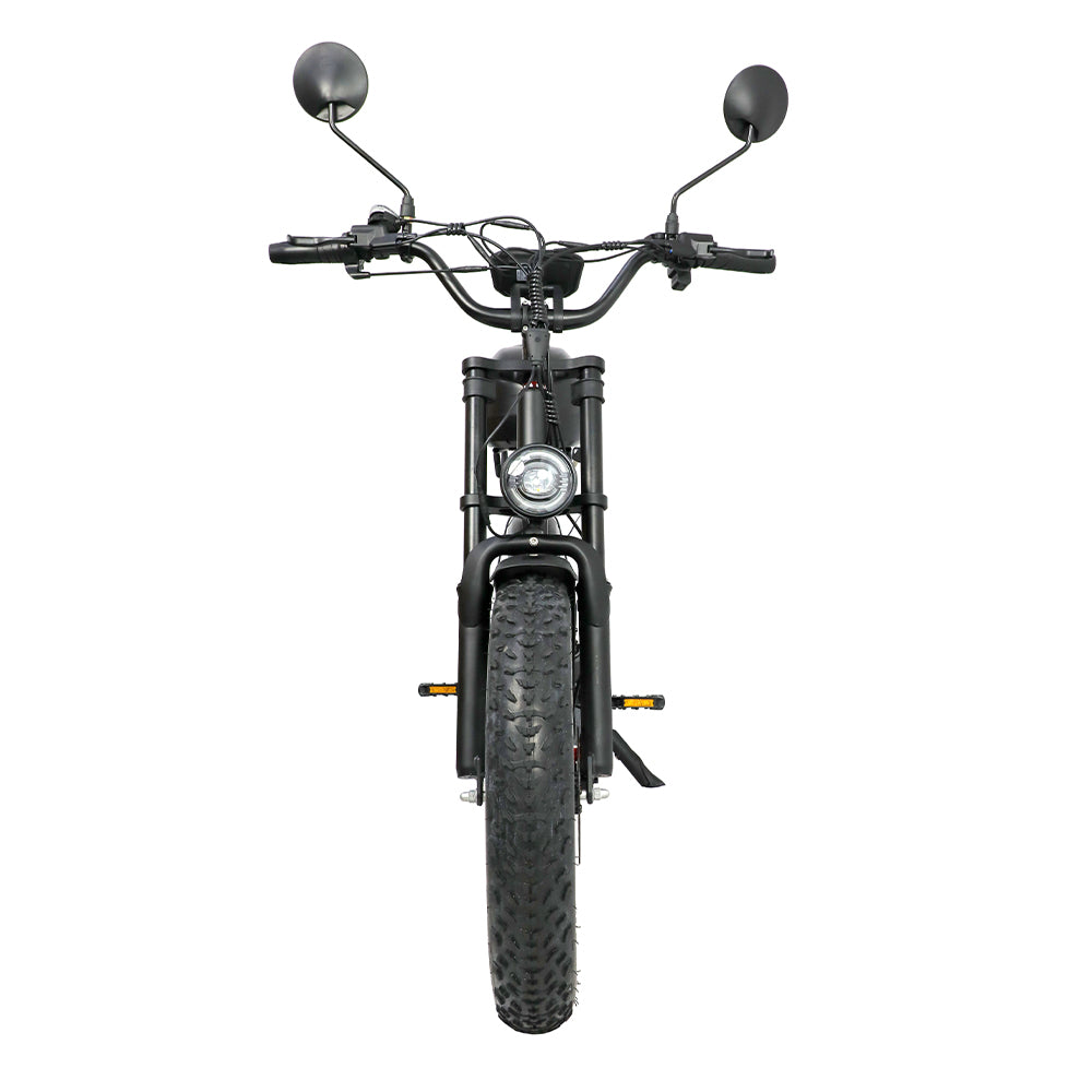 DUOTTS F20 20" Retro Electric Dirt Bike 750W Motor 52V 27Ah Battery