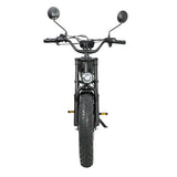 DUOTTS F20 20" Retro Electric Dirt Bike 750W Motor 52V 27Ah Battery