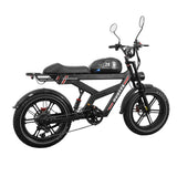 DUOTTS F20 20" Retro Electric Dirt Bike 750W Motor 52V 27Ah Battery