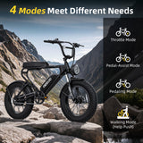 MEELOD DK200 20" Retro Moped Style Electric Bike 750W Motor 48V 13Ah Battery