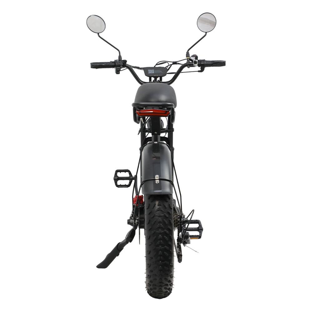 DUOTTS F20 20" Retro Electric Dirt Bike 750W Motor 52V 27Ah Battery