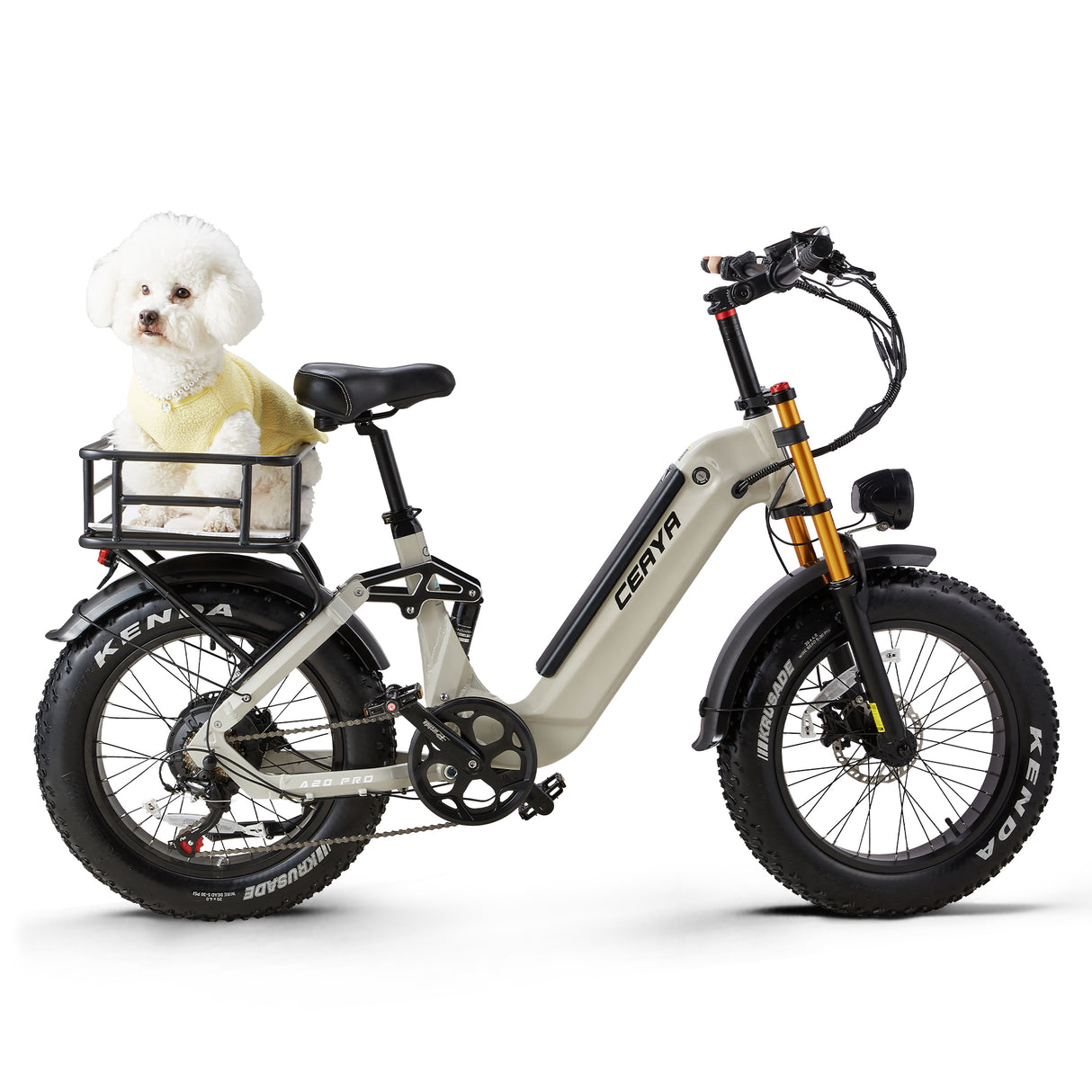 CEAYA A20 Pro 20" Fat Tire Electric All-Terrain Bike  500W Motor 48V 20Ah Battery