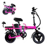 GleeRide A9 14" Mini Folding Electric Bike 750W Peak Motor 48V 20Ah Battery