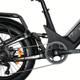 BAOLUJIE P4 DP 2011 24" Mountain E-Bike 2000W Motor 48V 20Ah Battery
