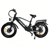 BAOLUJIE P4 DP 2011 24" Mountain E-Bike 2000W Motor 48V 20Ah Battery