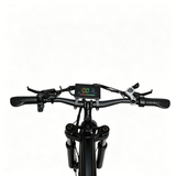 BAOLUJIE P4 DP 2011 24" Mountain E-Bike 2000W Motor 48V 20Ah Battery